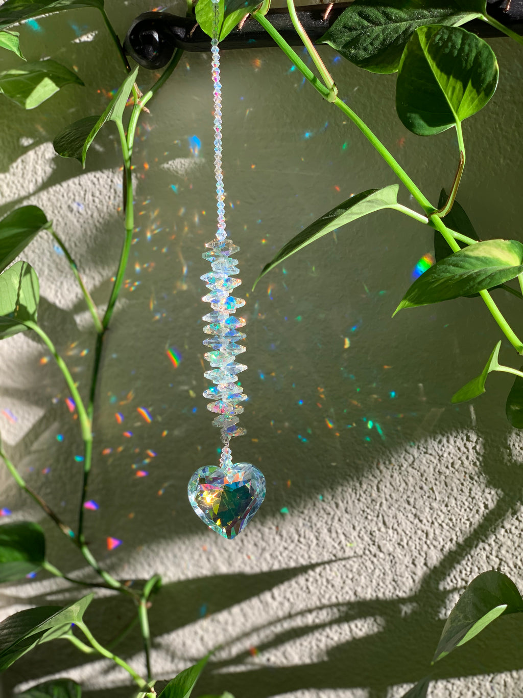 Sun catcher